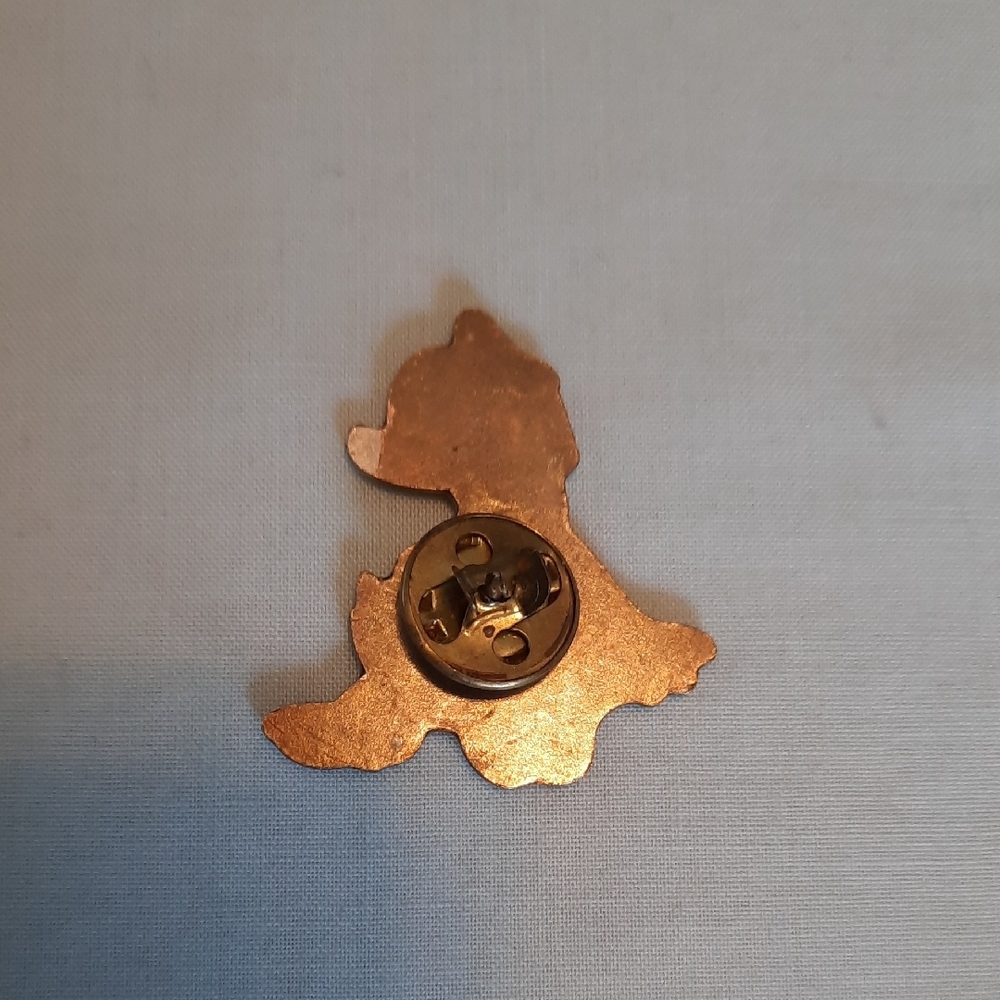 Donald Duck Pin + Bonus Pin - Picture 2 of 5
